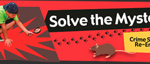 Solve the Mystery!