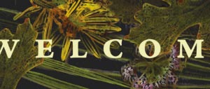 Welcome sign detail
