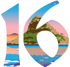 16