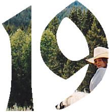19