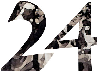 24