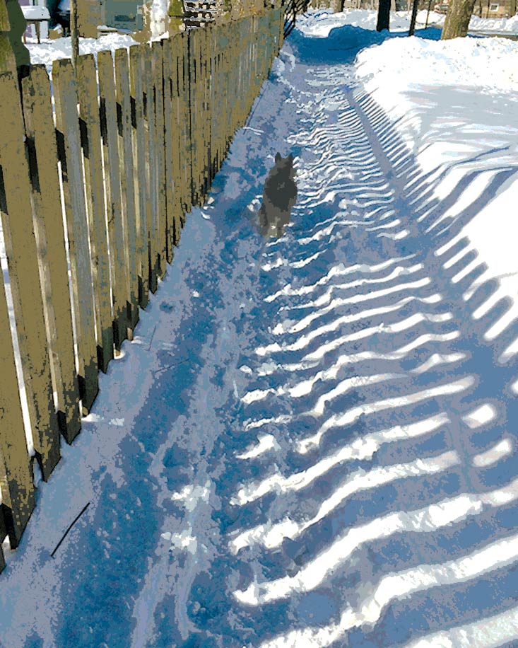 Jacob running in the snow