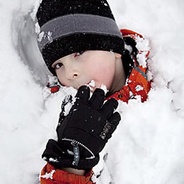 Gus eating snow