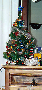 Jane's tree in Mexico