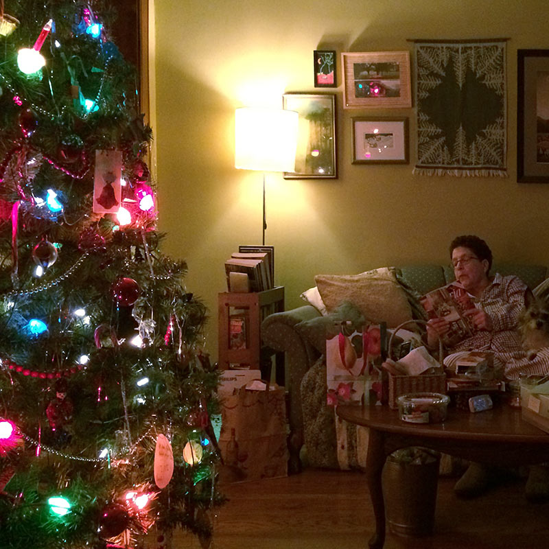 My tree with Susan
