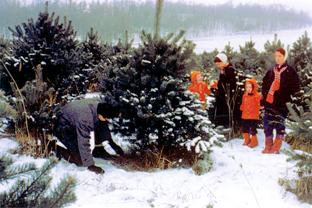 Michael cutting down the tree: Molly, me, Beth, Susan