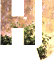 Hannah Jennings Design logo