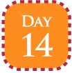 Day14