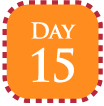 Day 15