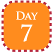 Day 7