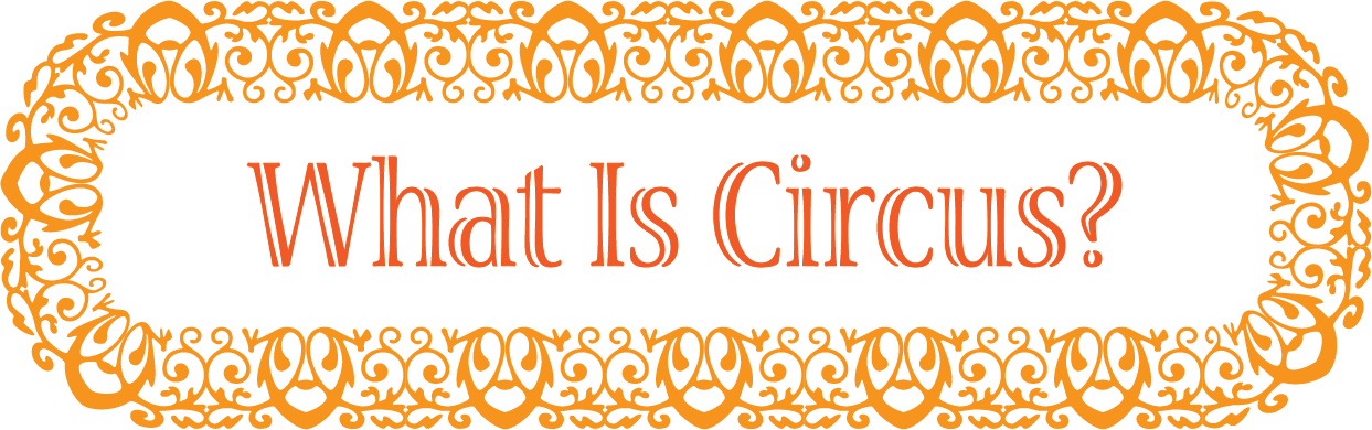 What Is Circus?