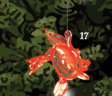 17 Gold Fish