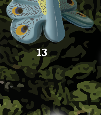 13 Peacock