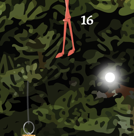 16 Flamingo