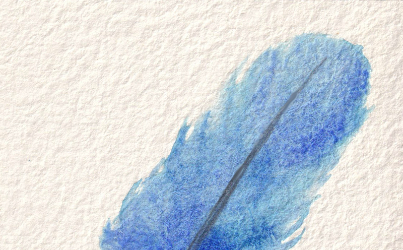 Watercolor of blue feather