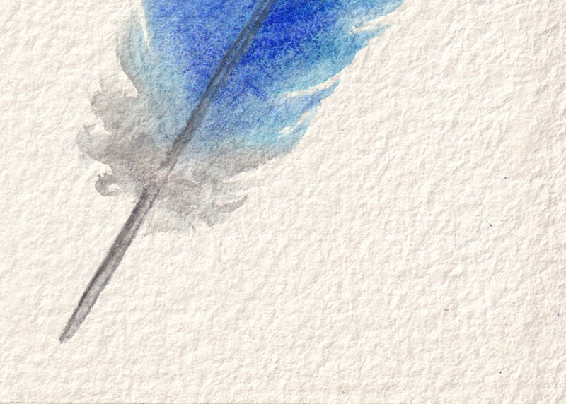 Watercolor of blue feather