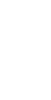 spiral ornament profile