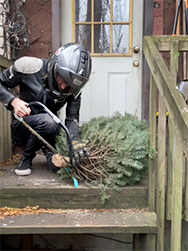 Ben sawing the tree