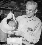 Chester Nicodemus