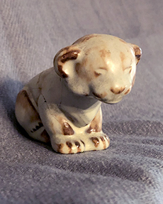Lion cub by Ellen Jennings