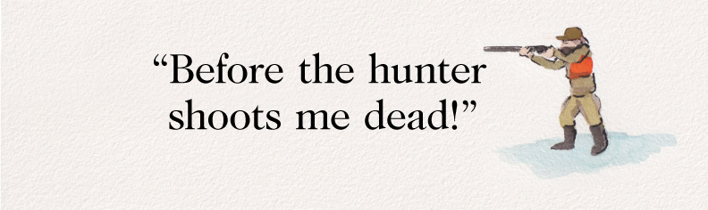"Before the hunter shoots me dead!" with illustrtion
