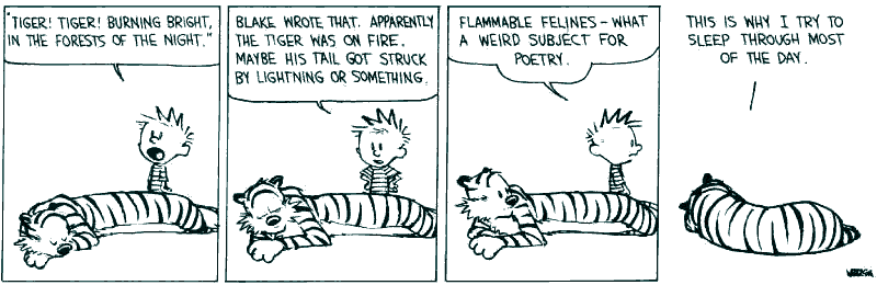 Calvin & Hobbs cartoon: 
Aparently the Tiger was on fire. Maybe his tail got struck by lightning or something. Flammable felines - what a weird subject for poetry." "This is why I try to sleep through most of the day."