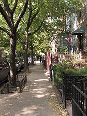 Brooklyn neighborhood street scene