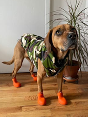 Bird in boots