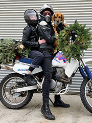 Bird and family Christmas portrait on motorcycle