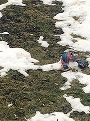 some snow with the scarf on a bump