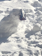 snowman's head has fallen off