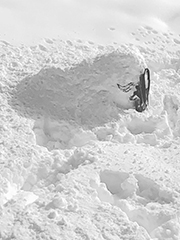 drooping more, pocked snow