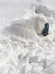 snow is now off-white with many footprints