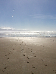 foot prints in the sand leading to the sea