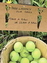 free library for dogs, with tennis balls