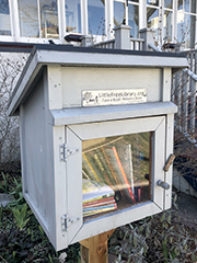 pale blue-gray free library