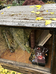free library with ginko leaves on tin roof and leftover Halloween candy inside
