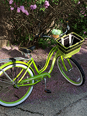 bright green bike with basket that I briefly owned