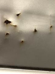 rust from dents in my car door