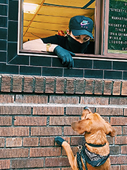 window order taker interacting with dog