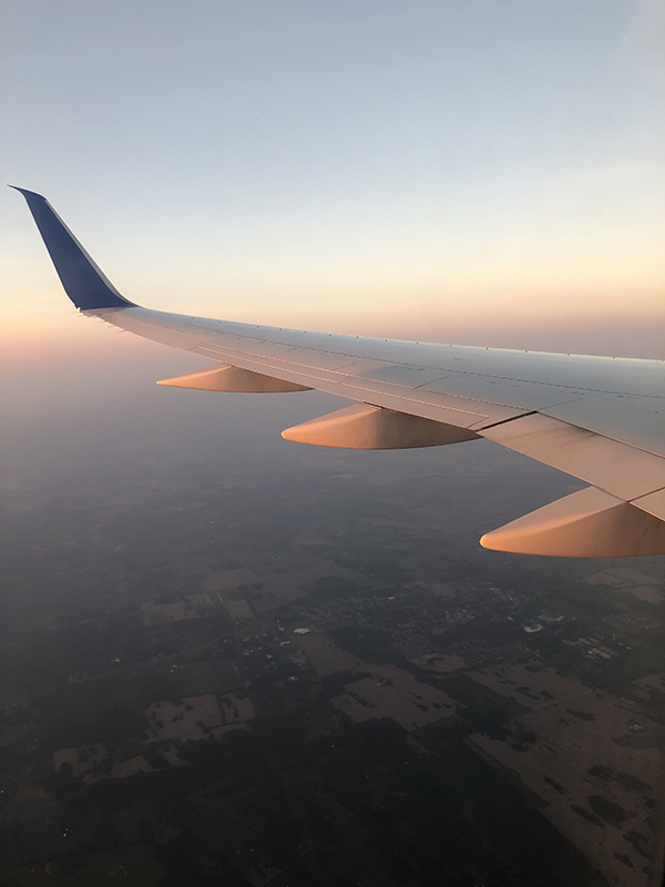 airplane wing at dawn
