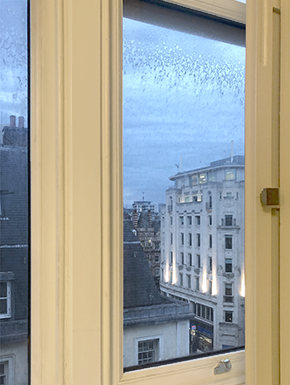 View from hotel window: dusk