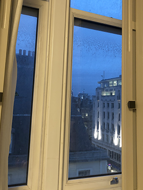 View from hotel window: darker