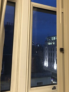 View from hotel window: darker