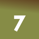 Day 7