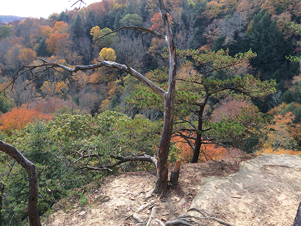 mountain of autumn leaves from a cliff