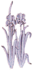 |