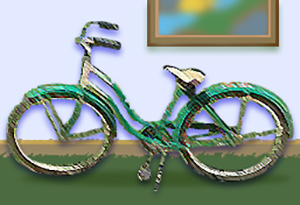 Bicycle inside home