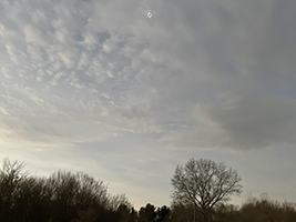 totality