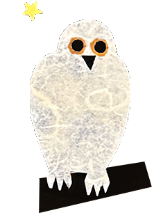 owl